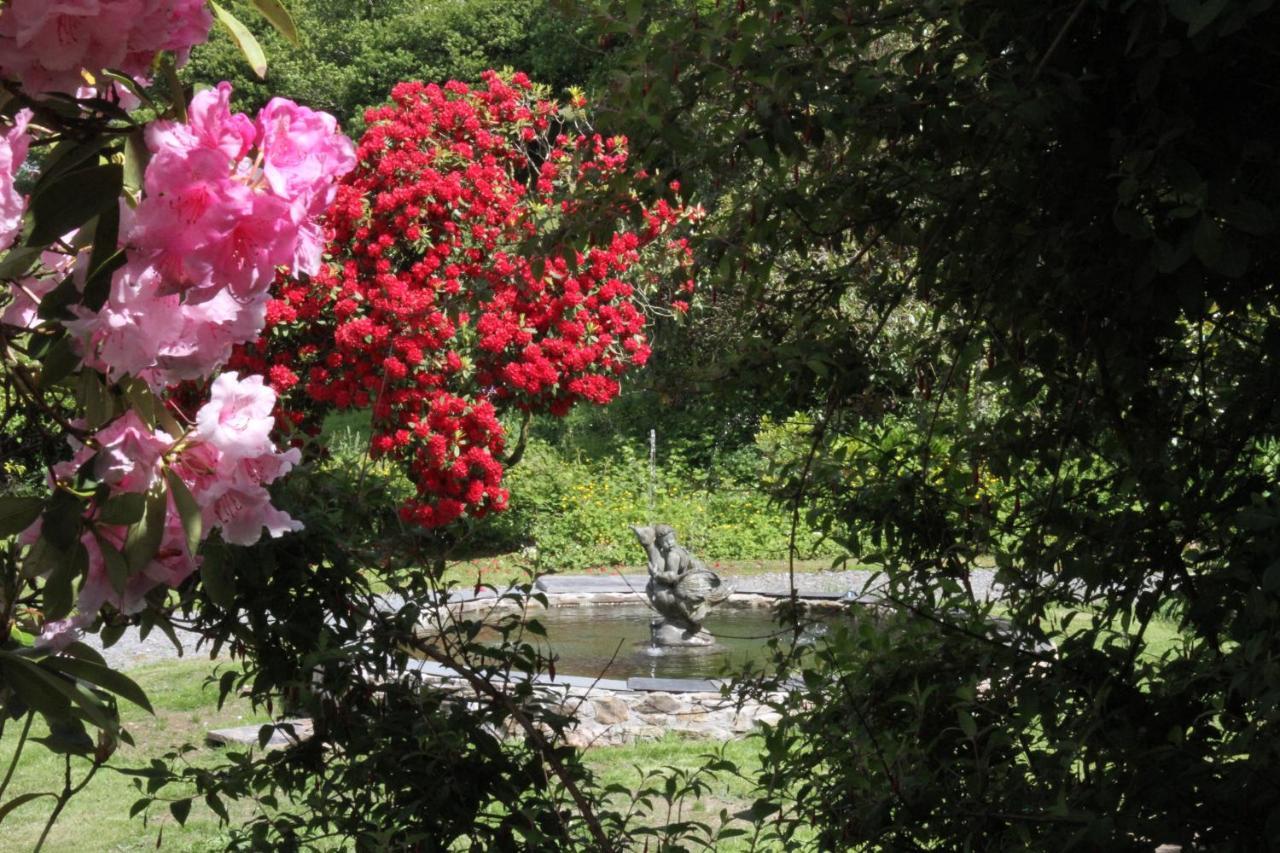 Devon Country Paradise Tavistock  Exteriör bild