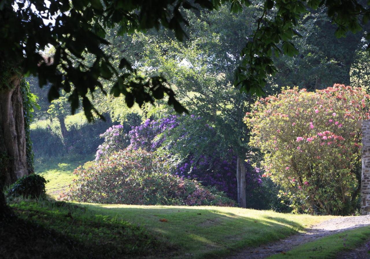 Devon Country Paradise Tavistock  Exteriör bild