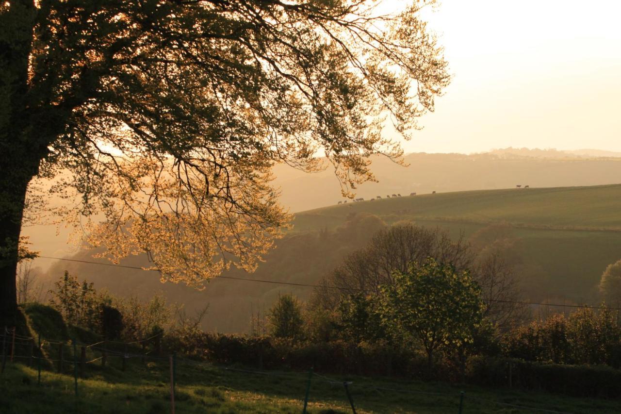 Devon Country Paradise Tavistock  Exteriör bild