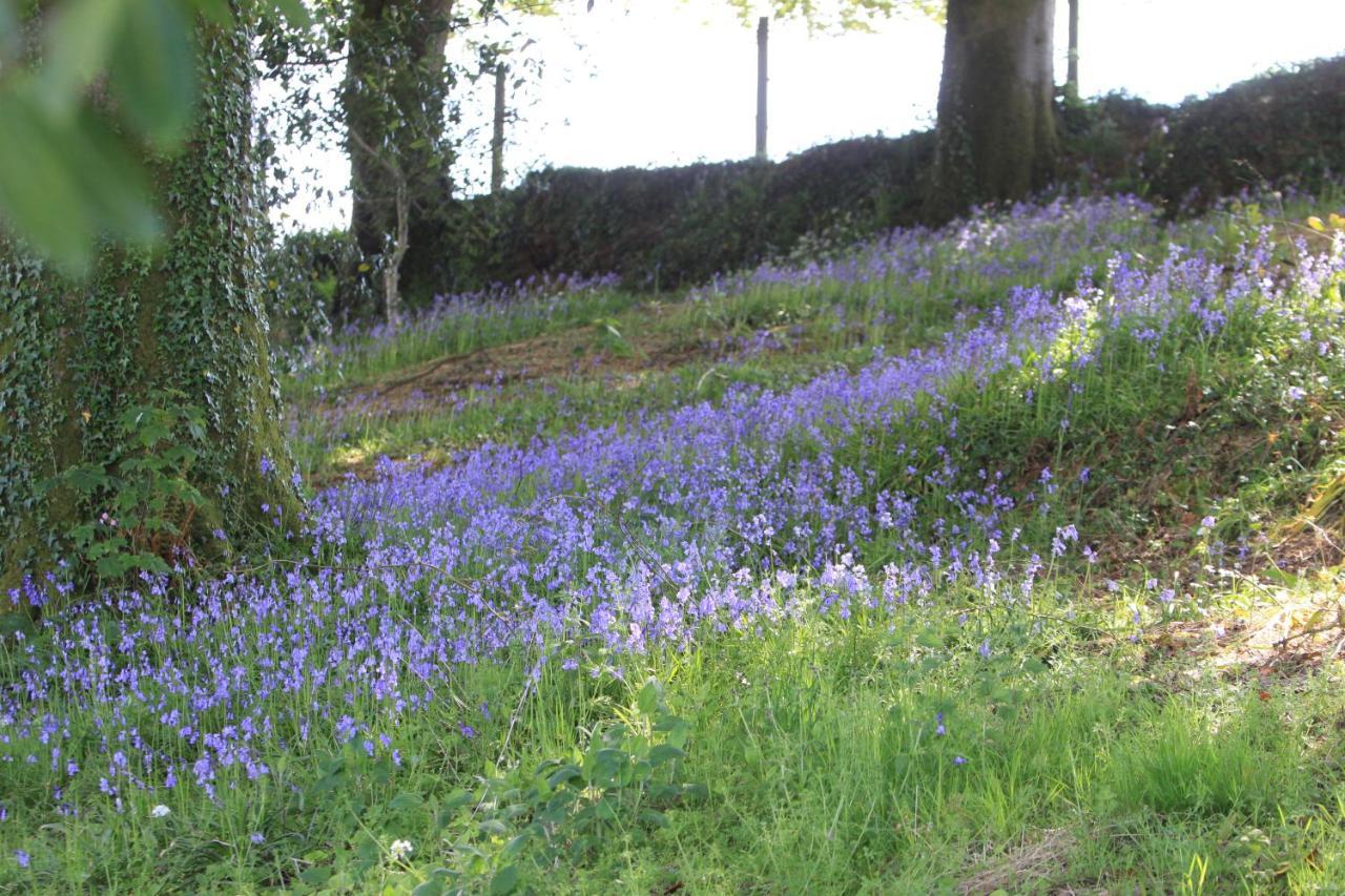 Devon Country Paradise Tavistock  Exteriör bild