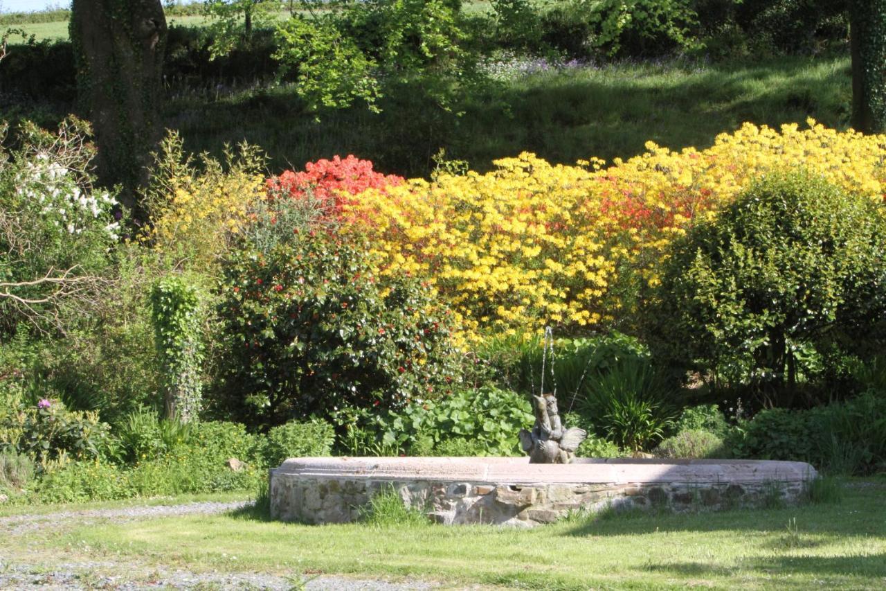 Devon Country Paradise Tavistock  Exteriör bild